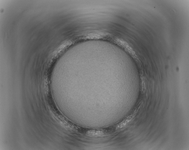 X0000078280354200611251424