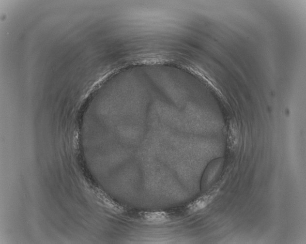 X0000078280355200611251424