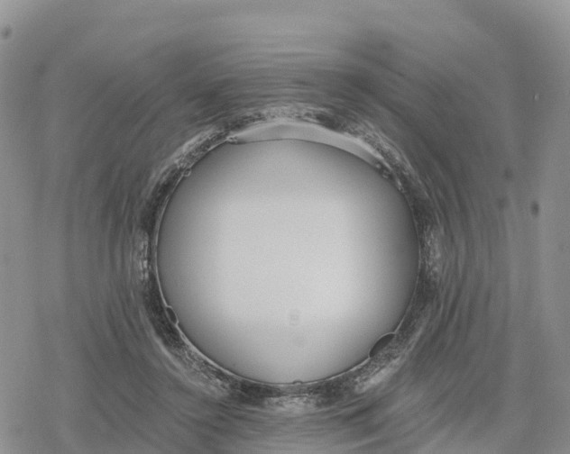 X0000078280356200611251424