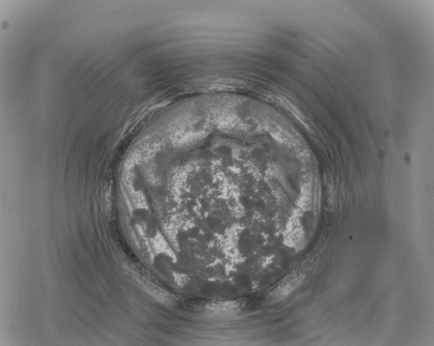 X0000078280357200611251424