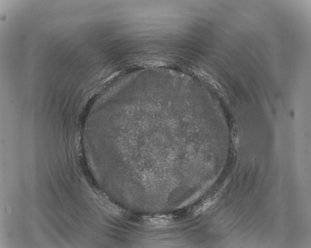 X0000078280359200611251424