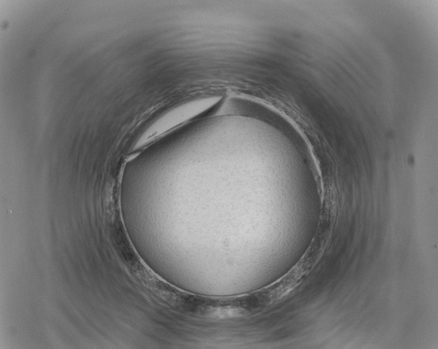 X0000078280360200611251424