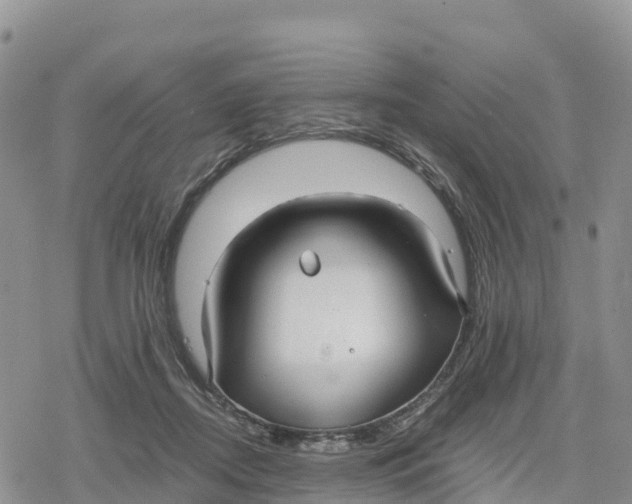 X0000078280362200611251424