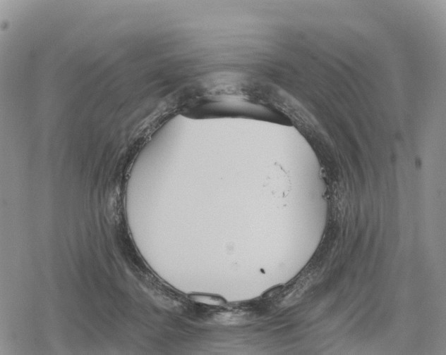 X0000078280364200611251424