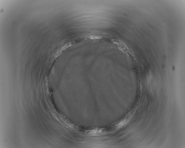 X0000078280366200611251424