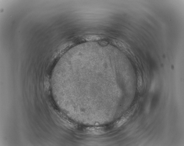 X0000078280367200611251424