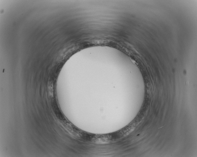 X0000078280368200611251424