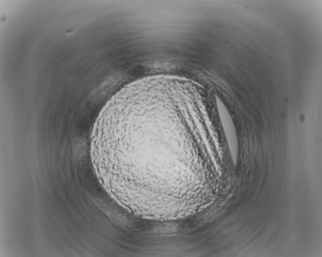 X0000078280369200611251424