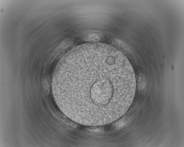 X0000078280370200611251424