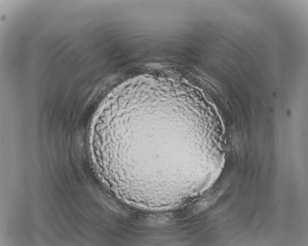 X0000078280373200611251424