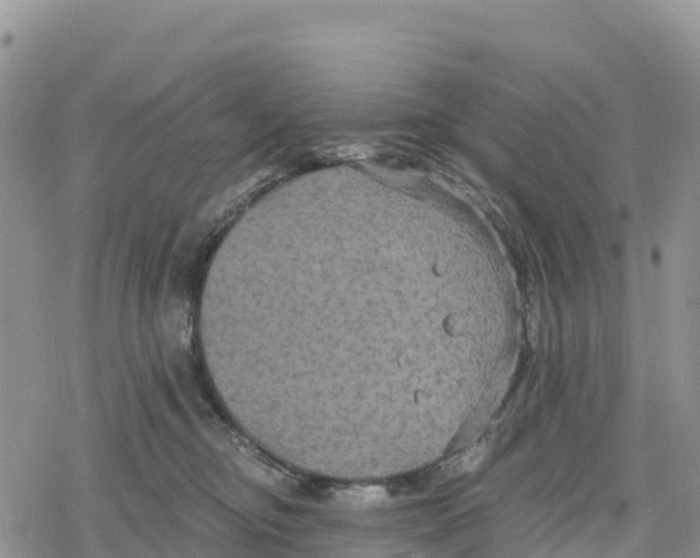 X0000078280374200611251424