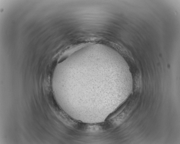 X0000078280376200611251424