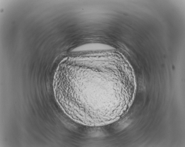 X0000078280377200611251424