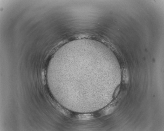 X0000078280378200611251424