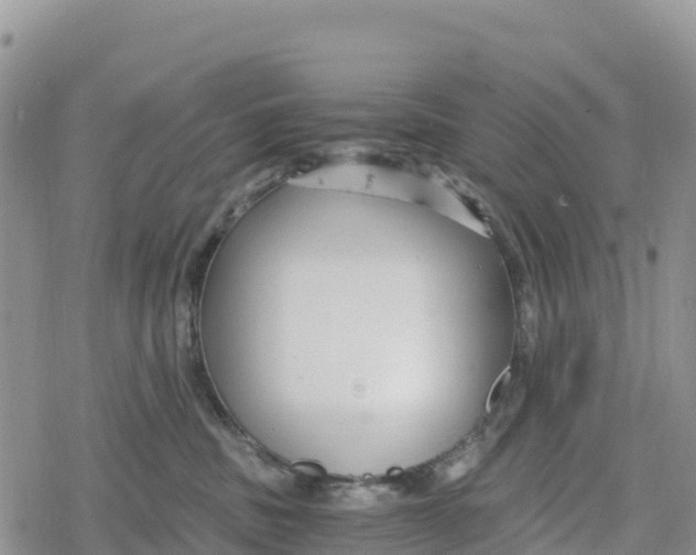 X0000078280379200611251424