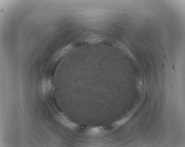 X0000078280382200611251424