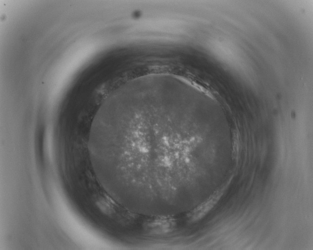 X0000078280383200611251424