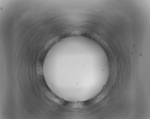 X0000078280384200611251424