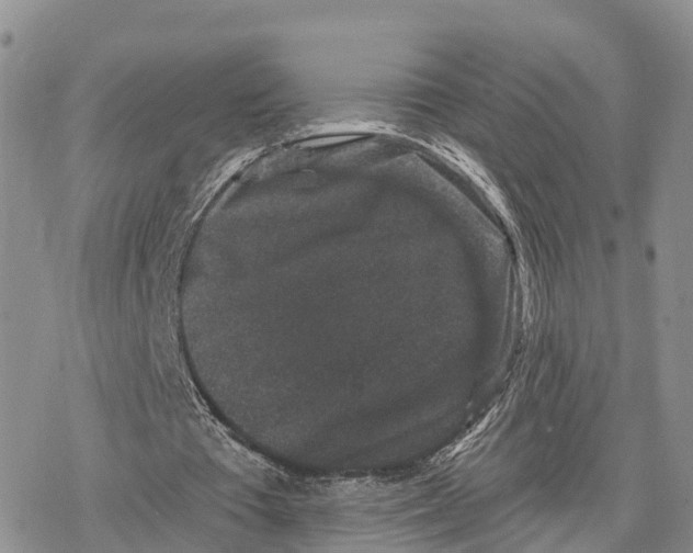 X0000078280385200611251423