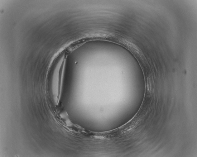 X0000078280388200611251423