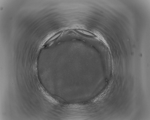 X0000078280389200611251423