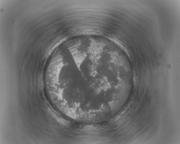 X0000078280390200611251423