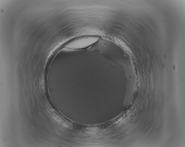 X0000078280391200611251423