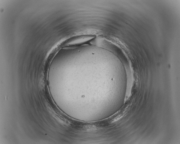 X0000078280392200611251423