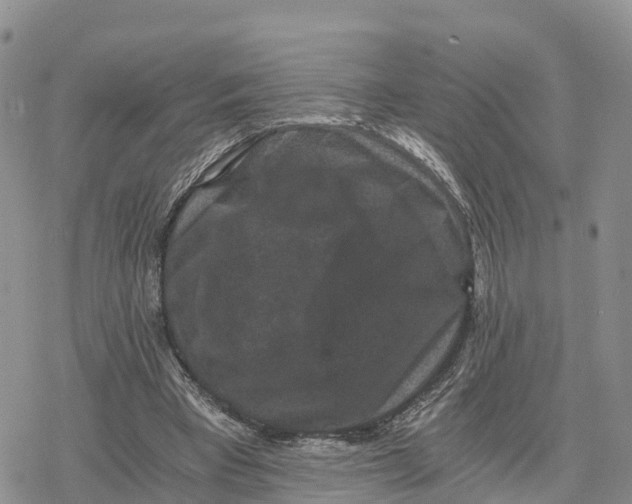 X0000078280393200611251423