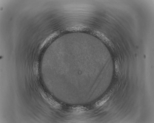 X0000078280396200611251423