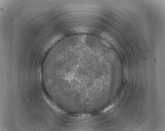 X0000078280398200611251423