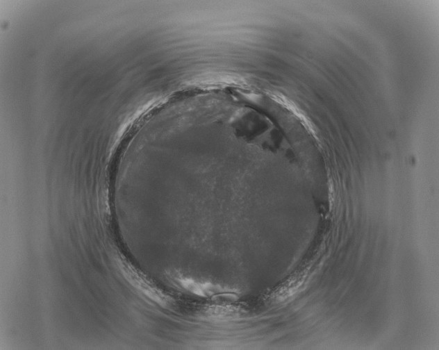 X0000078280399200611251423