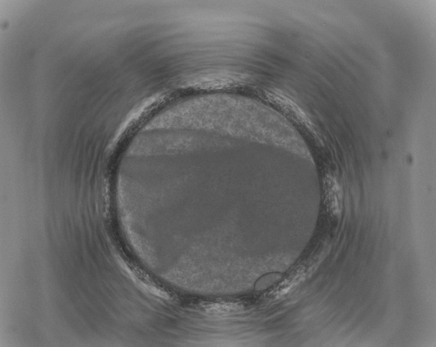 X0000078280400200611251423