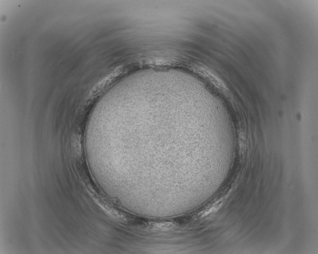 X0000078280401200611251423