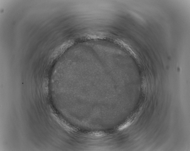 X0000078280402200611251423