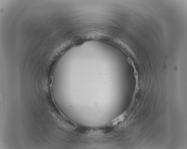 X0000078280403200611251423