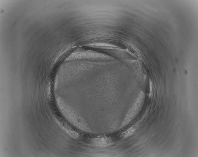 X0000078280404200611251423