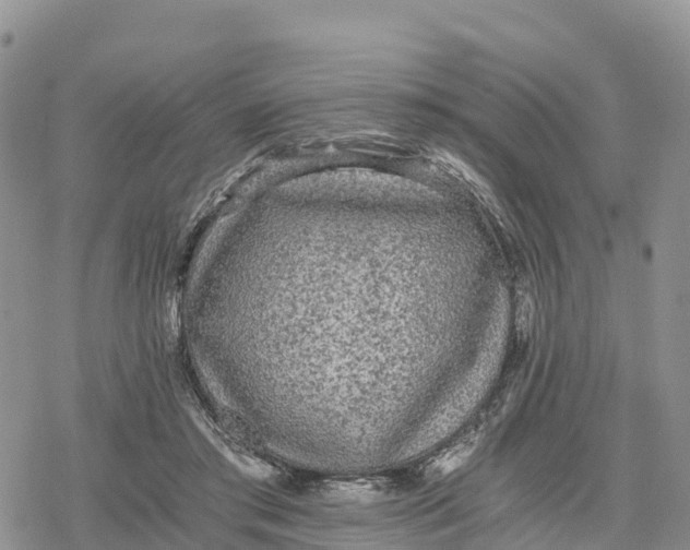 X0000078280405200611251423