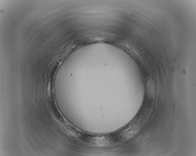 X0000078280406200611251423