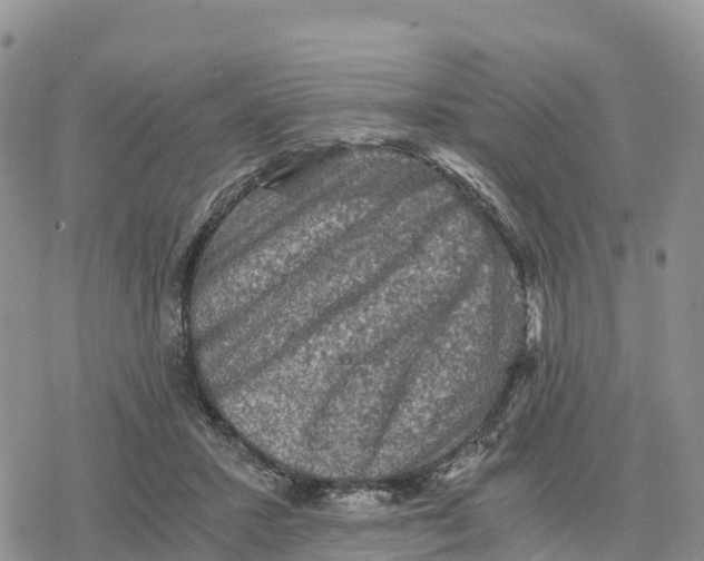 X0000078280407200611251423