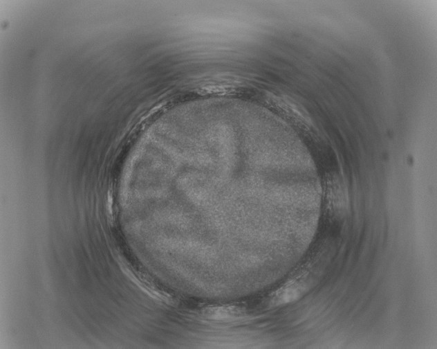 X0000078280408200611251423