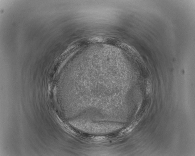 X0000078280409200611251423