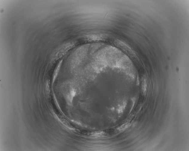 X0000078280410200611251423