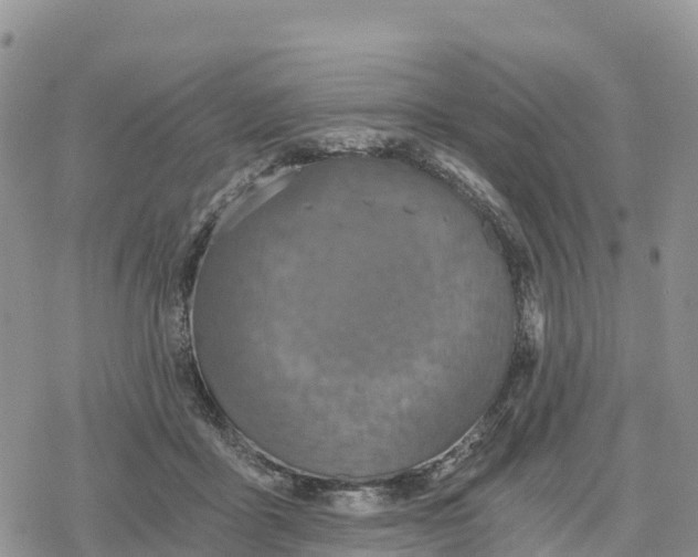 X0000078280411200611251423