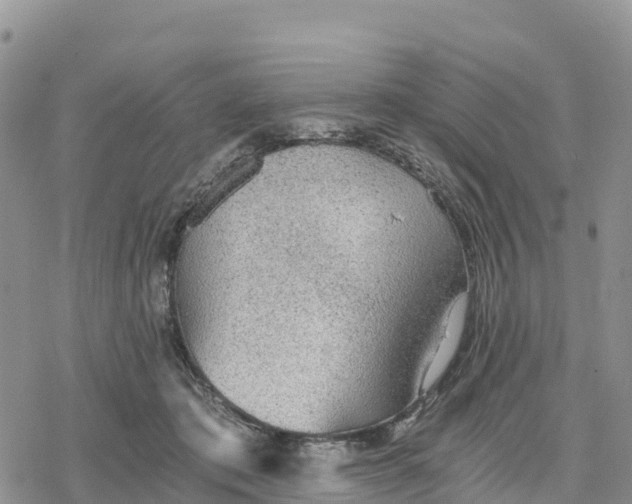 X0000078280413200611251423