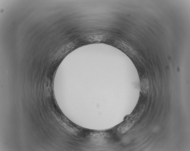 X0000078280414200611251423