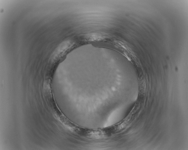 X0000078280415200611251423