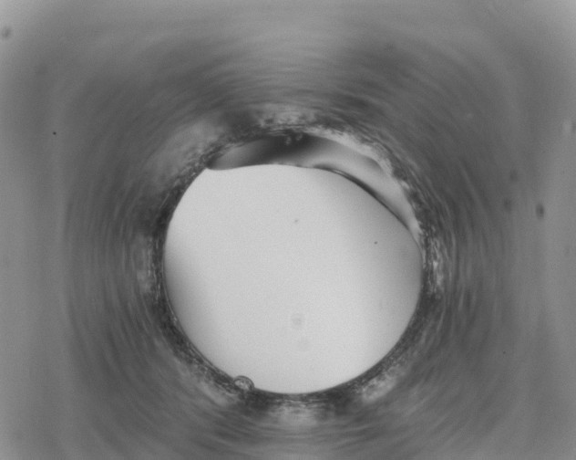 X0000078280416200611251423