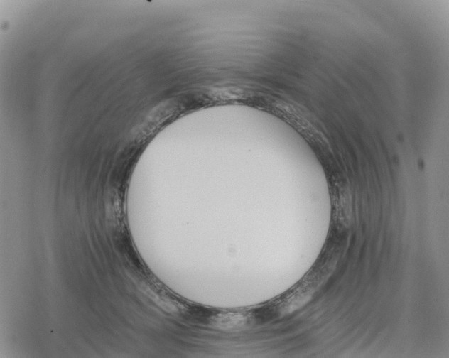 X0000078280418200611251423