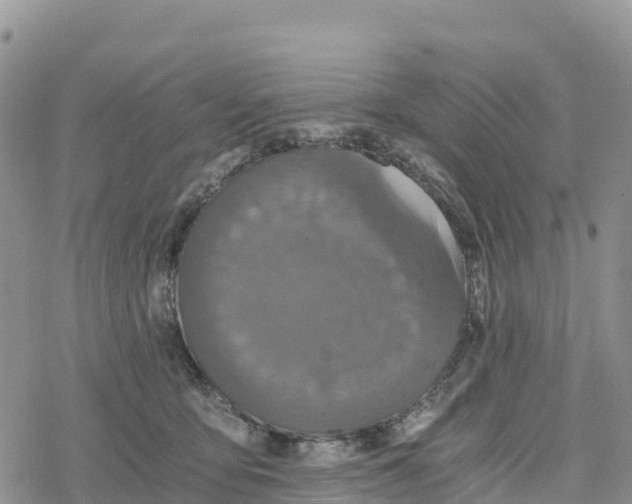 X0000078280419200611251423